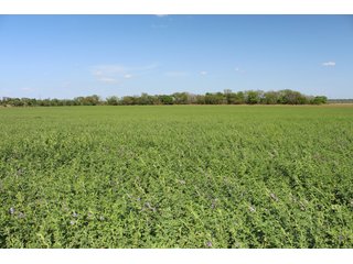Property photo 31 - LAND AUCTION - 1,371+/- ACRES OFFERED IN 25 TRACTS IN GOLDSBY, OKLAHOMA